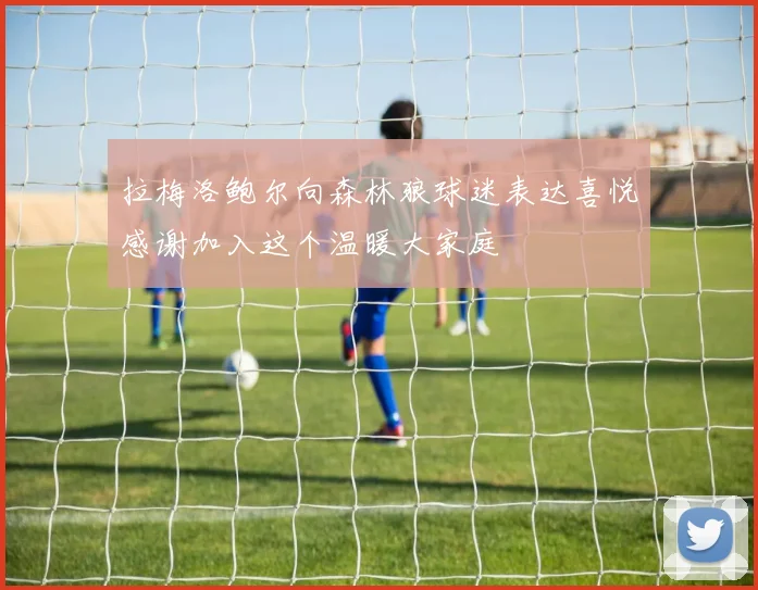 拉梅洛鲍尔向森林狼球迷表达喜悦感谢加入这个温暖大家庭