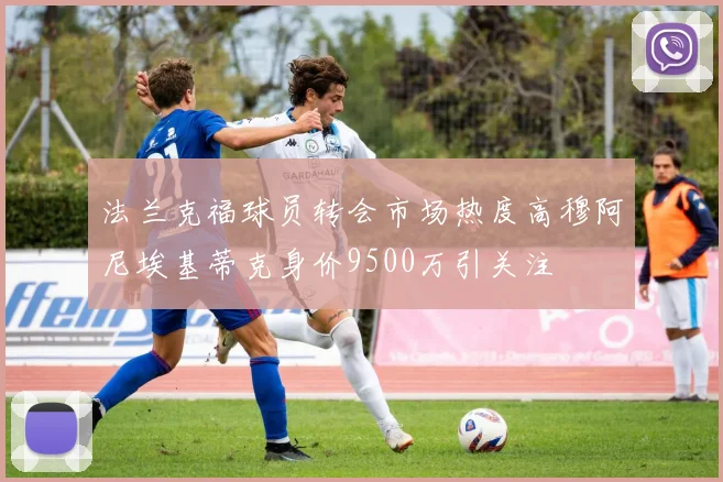 法兰克福球员转会市场热度高穆阿尼埃基蒂克身价9500万引关注