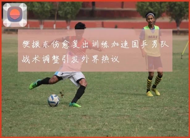 樊振东伤愈复出训练加速国乒男队战术调整引发外界热议