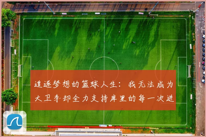 追逐梦想的篮球人生：我无法成为大卫李却全力支持库里的每一次进攻